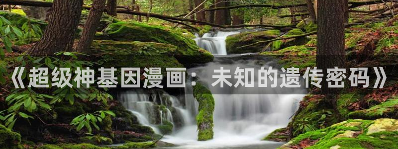 51漫画入口界面