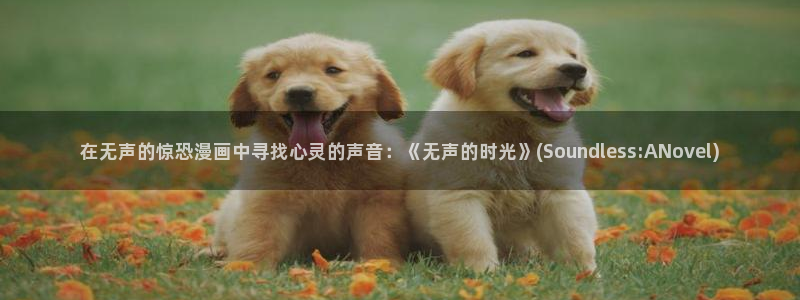 51漫画网站版：在无声的惊恐漫画中寻找心灵的声音：《无声的时光》(Soundless:ANovel)